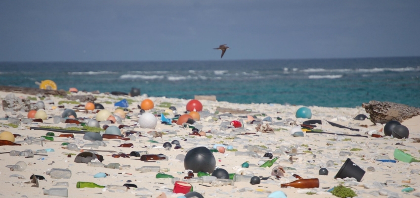 Image accompanying Nel 2050 gli oceani saranno popolati più da residui di plastica che da pesci