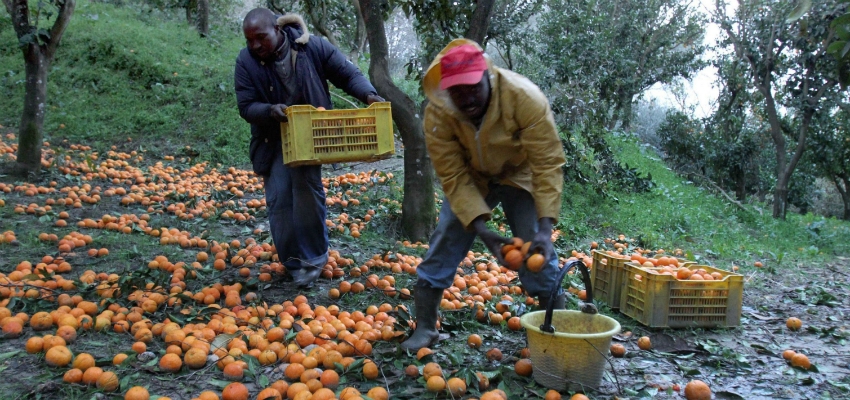 Image accompanying «Un tema, quello della #regolarizzazione e del superamento della #Bossi-Fini che era nell’accordo di governo, nel segno della discontinuità con il #ConteI»
