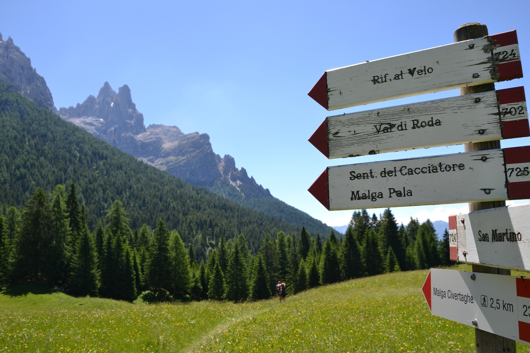 Guida alle elezioni regionali in Trentino-Alto Adige